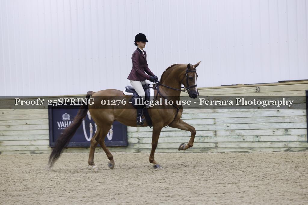Proof 25SPRING_01276