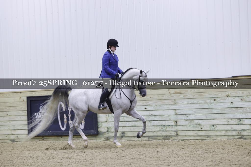 Proof 25SPRING_01277