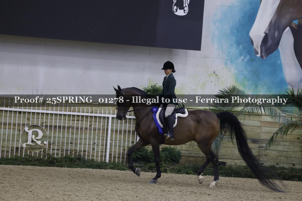 Proof 25SPRING_01278
