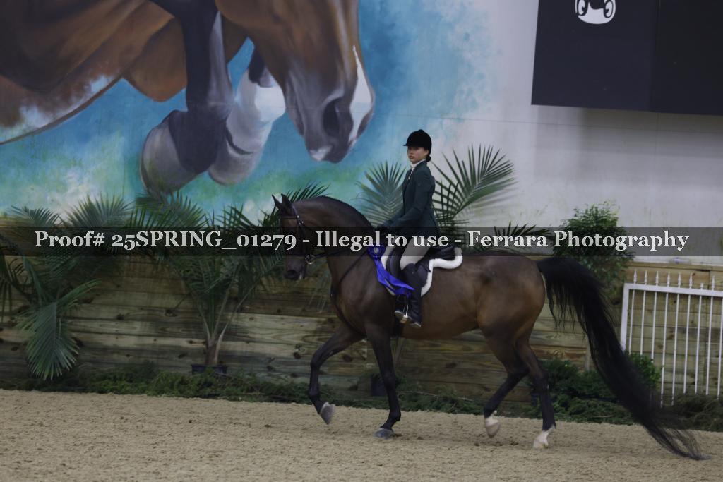 Proof 25SPRING_01279