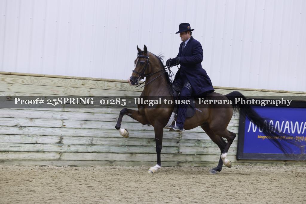 Proof 25SPRING_01285