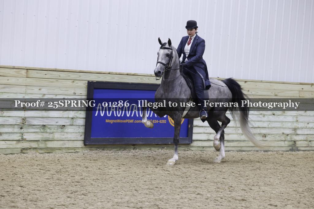 Proof 25SPRING_01286