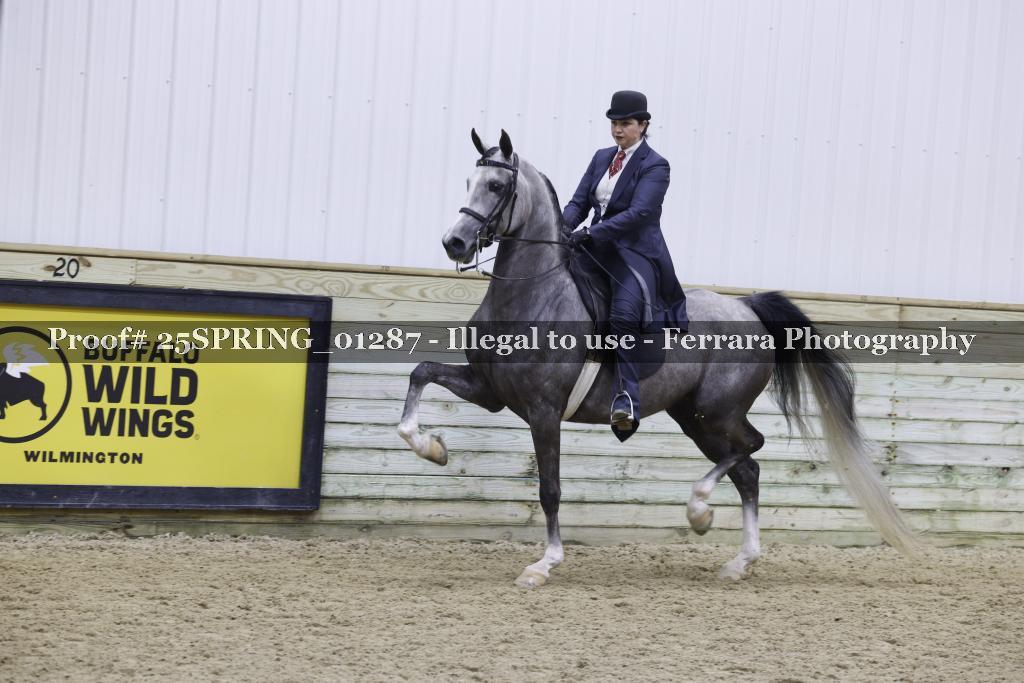Proof 25SPRING_01287