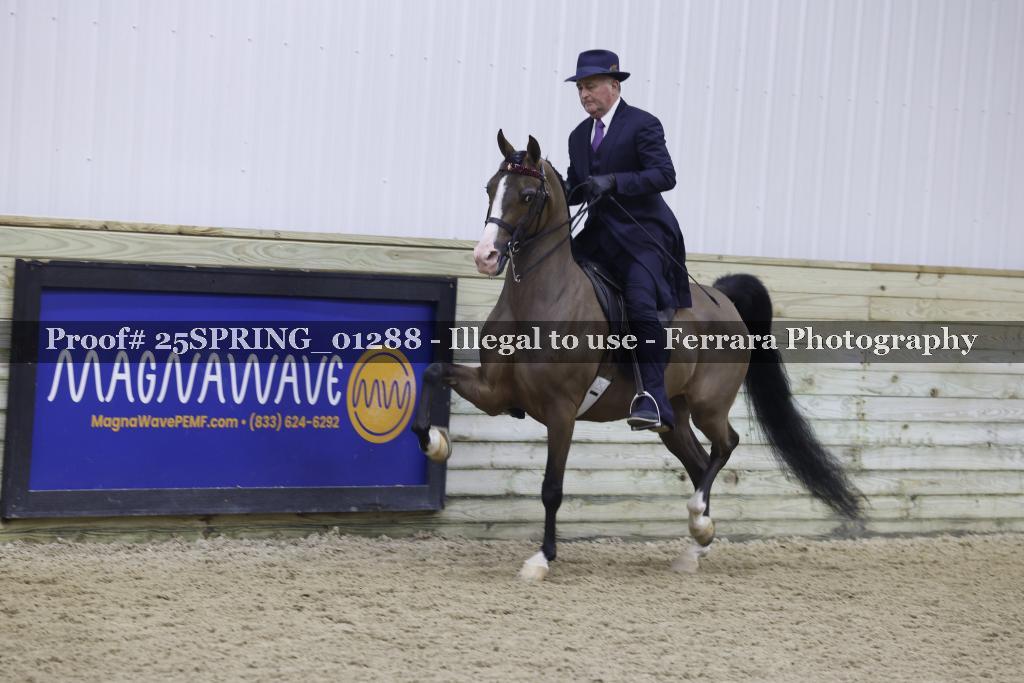 Proof 25SPRING_01288