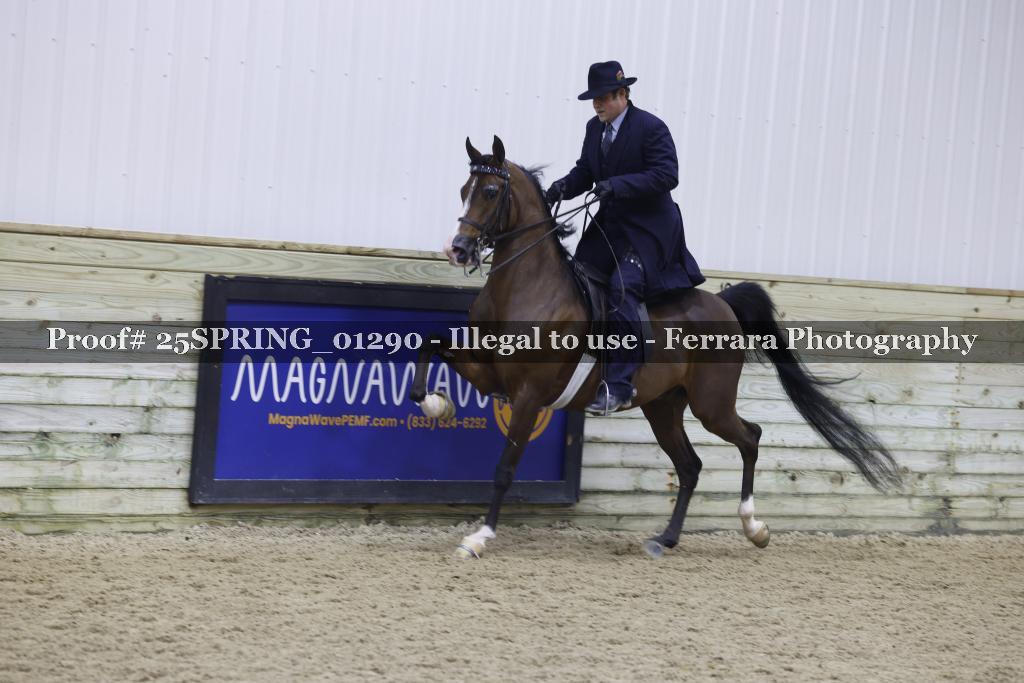 Proof 25SPRING_01290