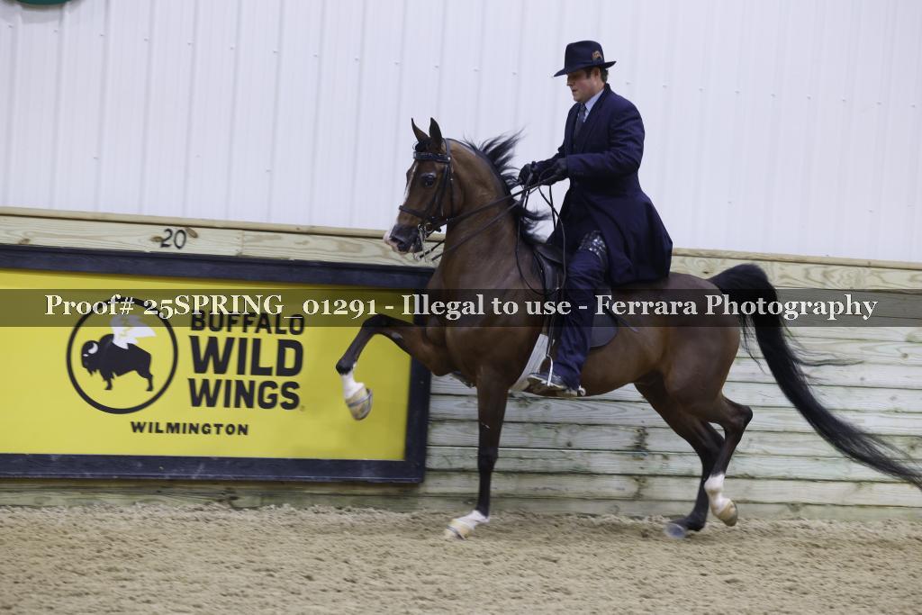 Proof 25SPRING_01291