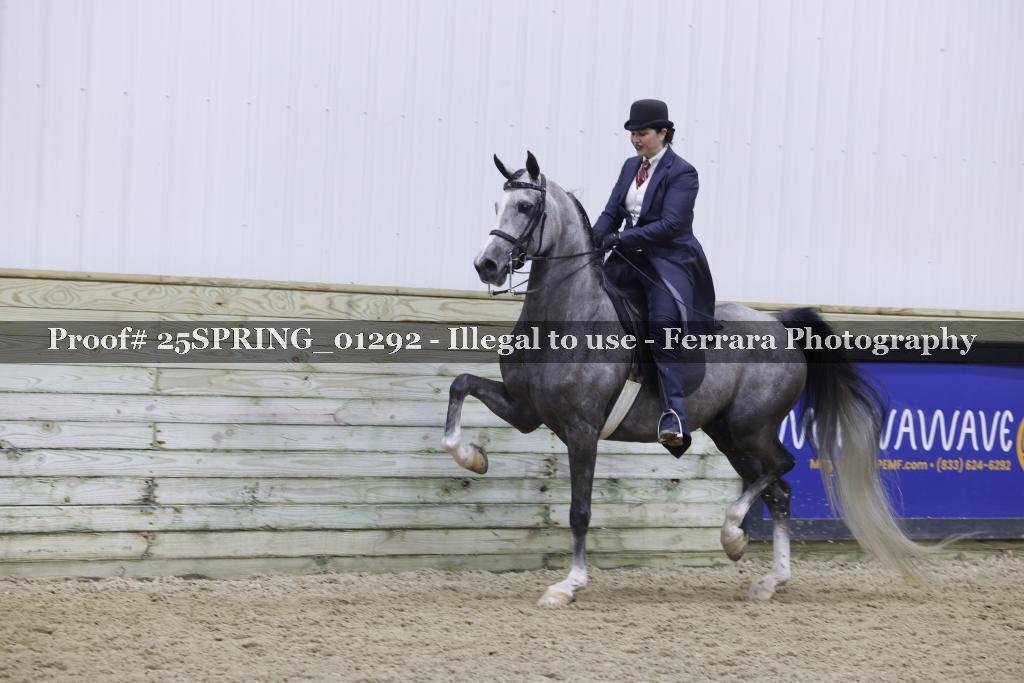 Proof 25SPRING_01292