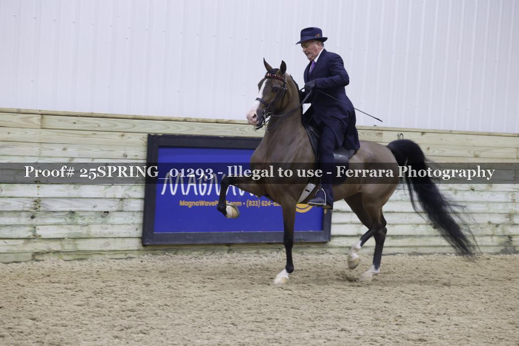Proof 25SPRING_01293