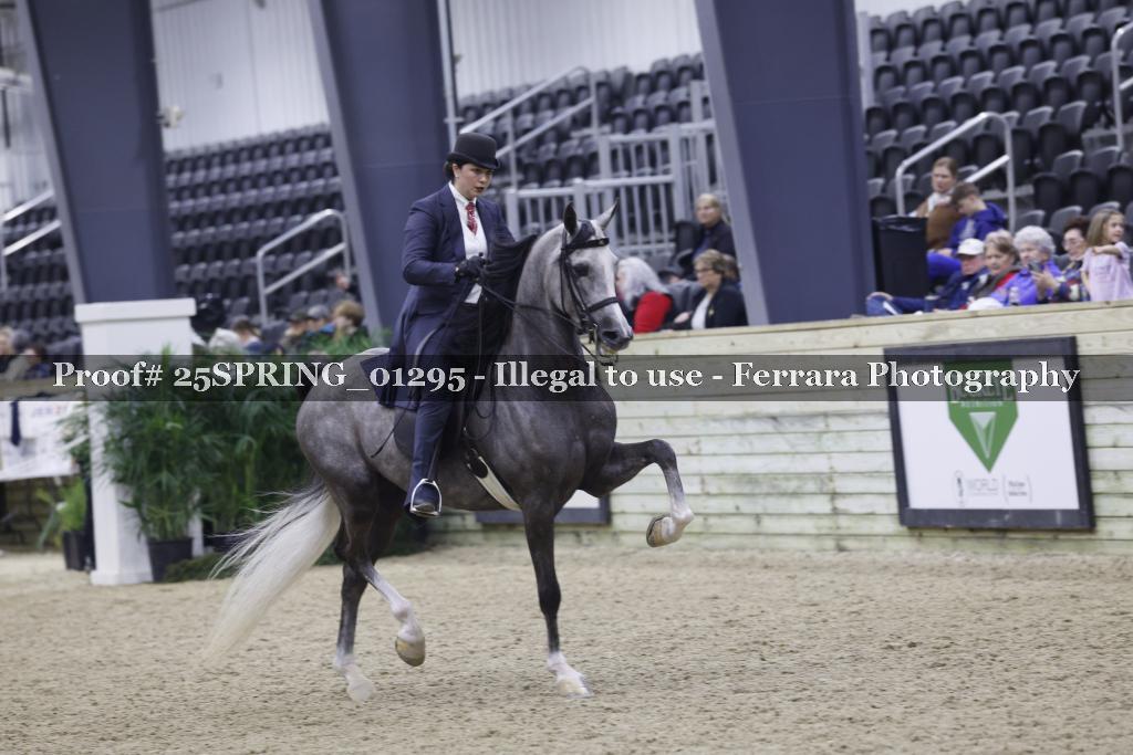 Proof 25SPRING_01295