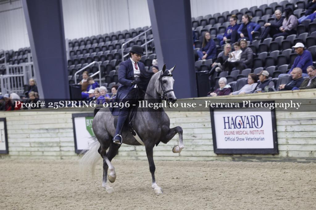 Proof 25SPRING_01296