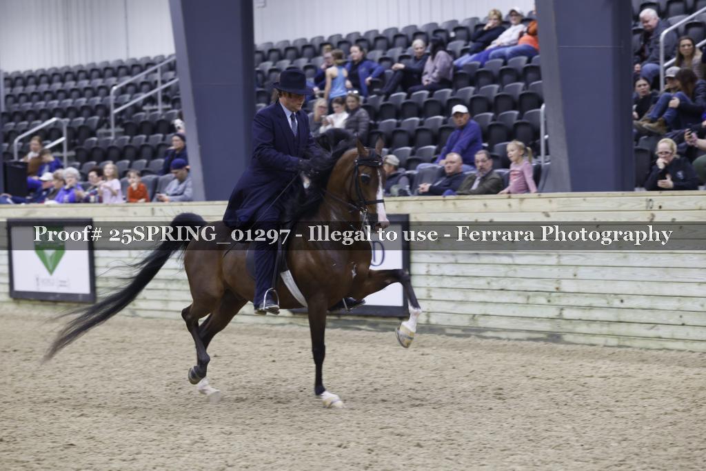 Proof 25SPRING_01297