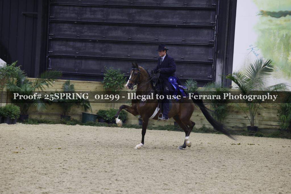 Proof 25SPRING_01299