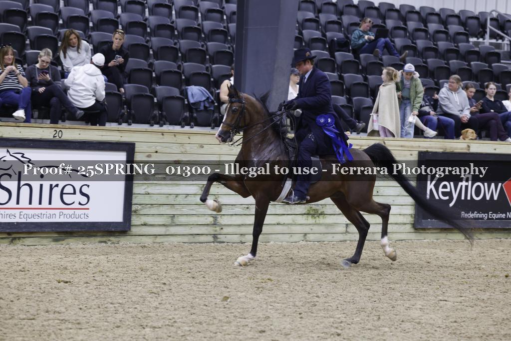 Proof 25SPRING_01300