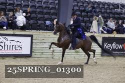25SPRING_01300 proof