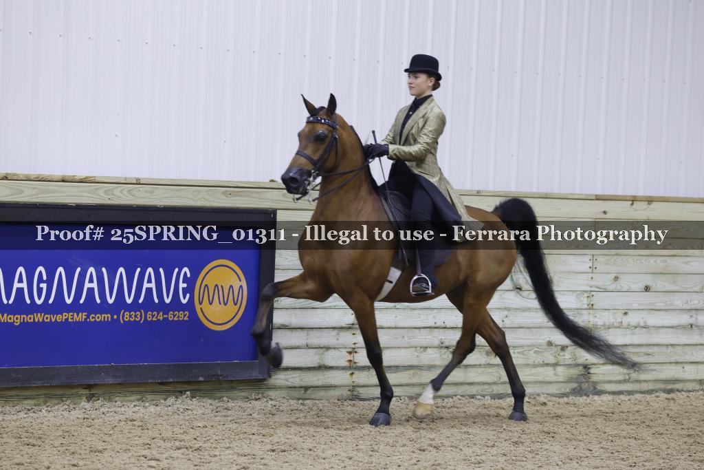 Proof 25SPRING_01311