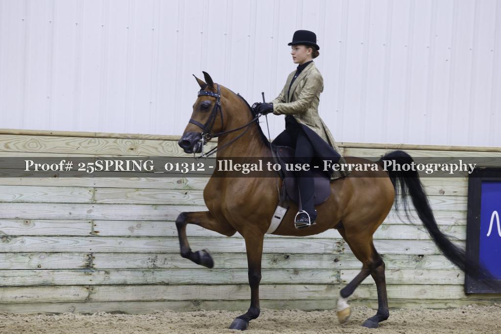 Proof 25SPRING_01312