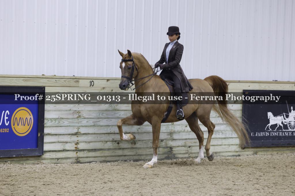 Proof 25SPRING_01313