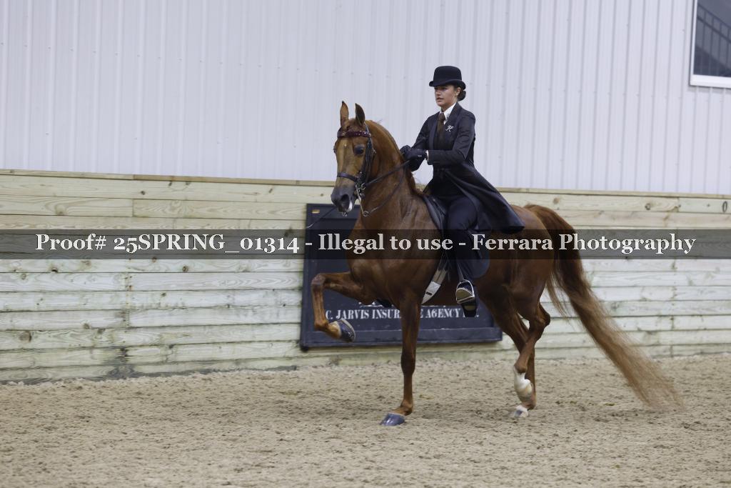 Proof 25SPRING_01314