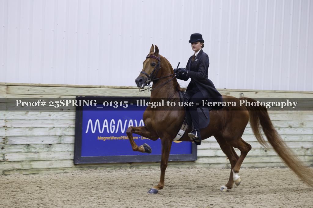 Proof 25SPRING_01315