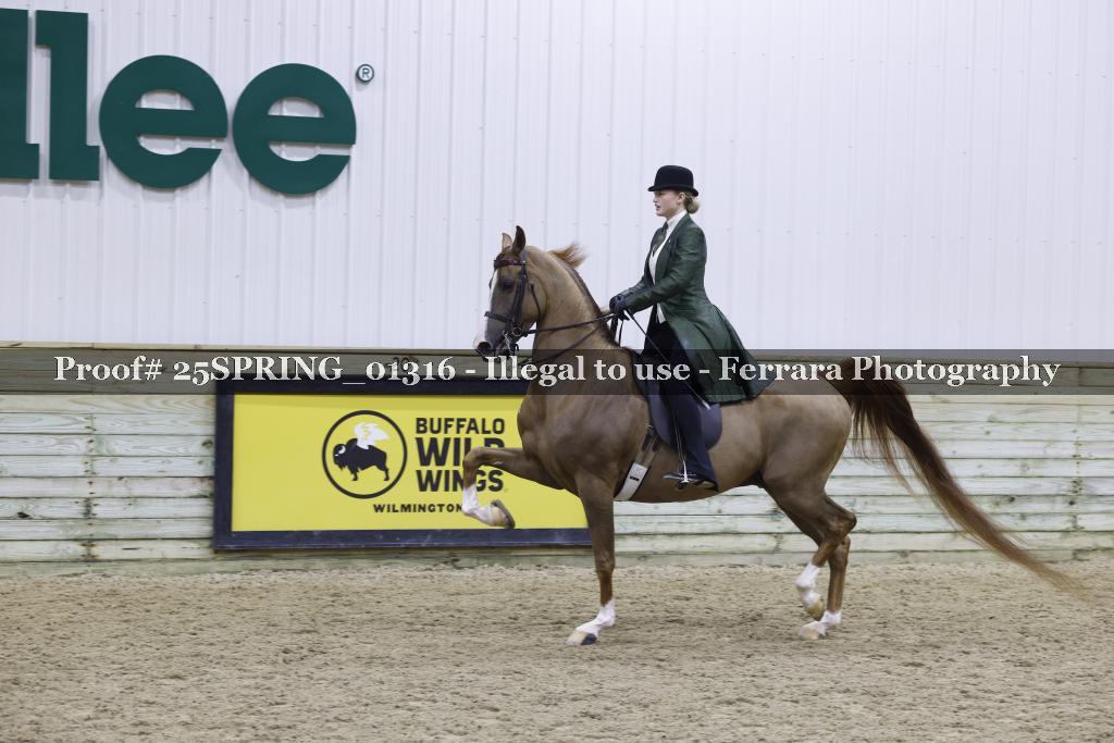 Proof 25SPRING_01316