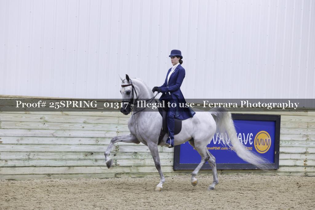 Proof 25SPRING_01317