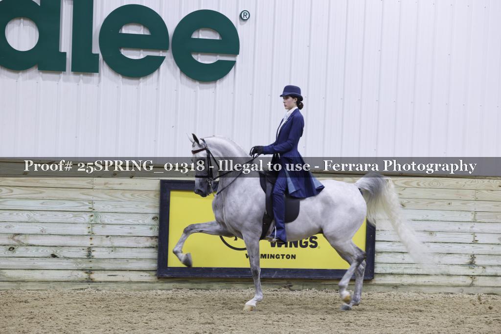 Proof 25SPRING_01318