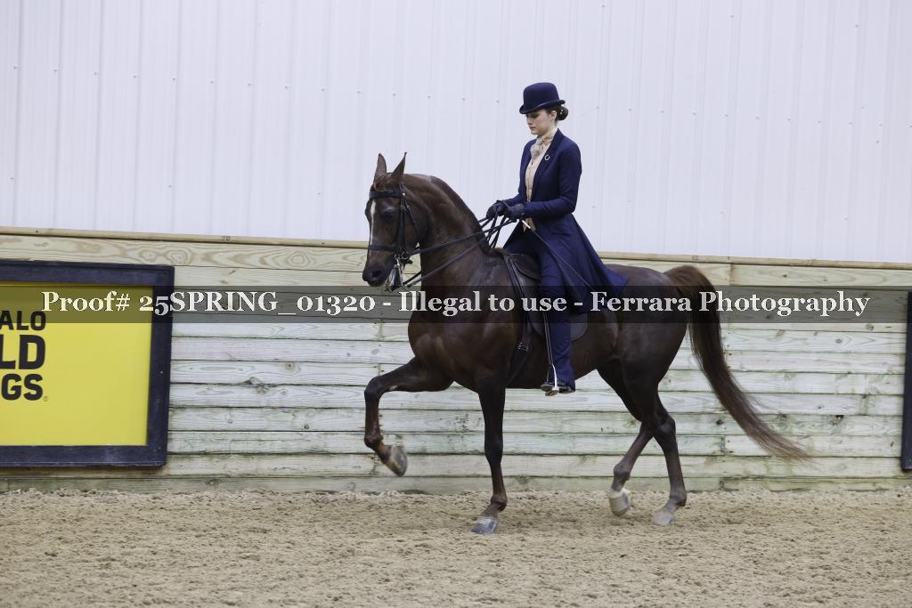 Proof 25SPRING_01320
