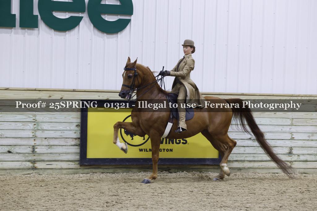 Proof 25SPRING_01321