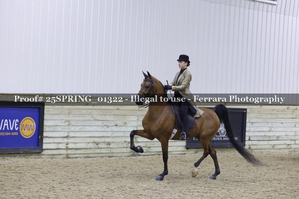 Proof 25SPRING_01322