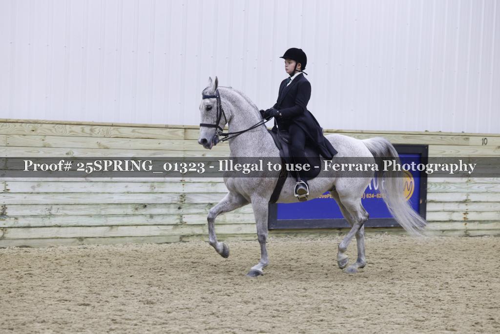 Proof 25SPRING_01323