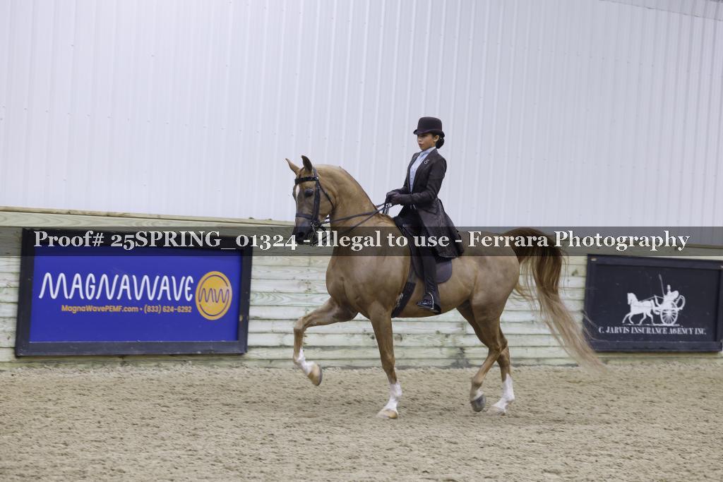 Proof 25SPRING_01324