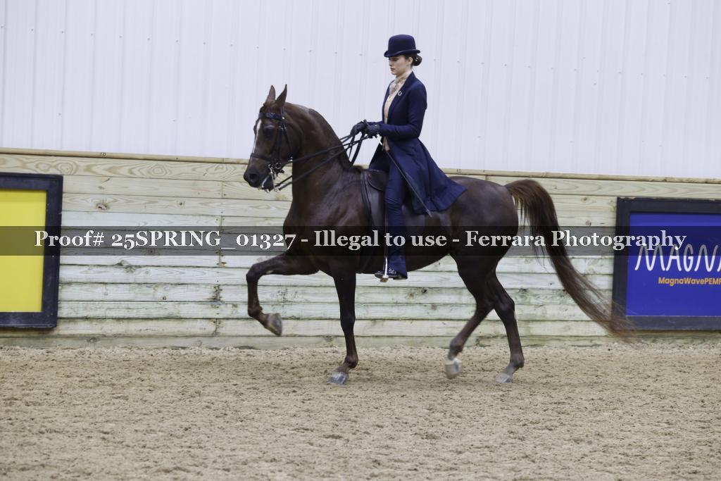 Proof 25SPRING_01327