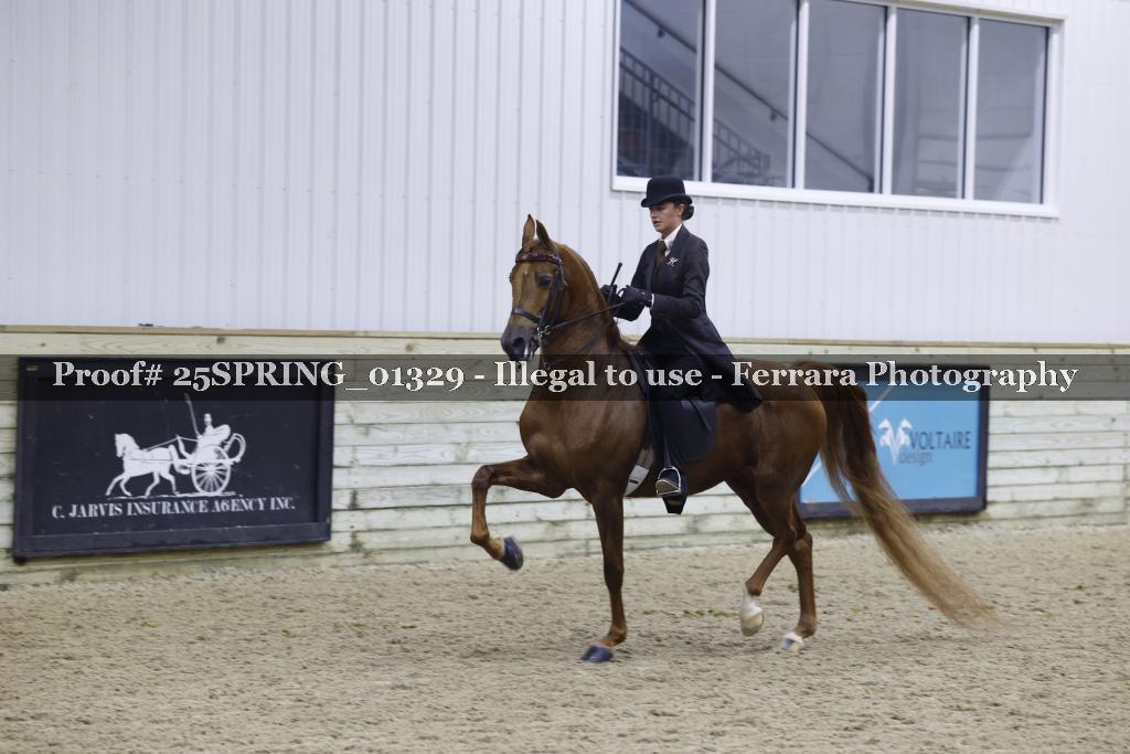 Proof 25SPRING_01329