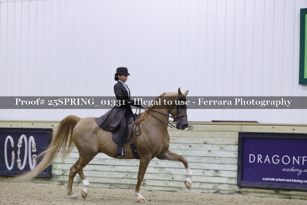 Proof 25SPRING_01331