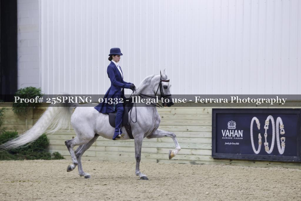 Proof 25SPRING_01332