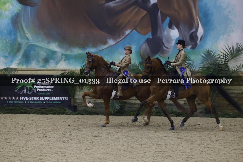 Proof 25SPRING_01333