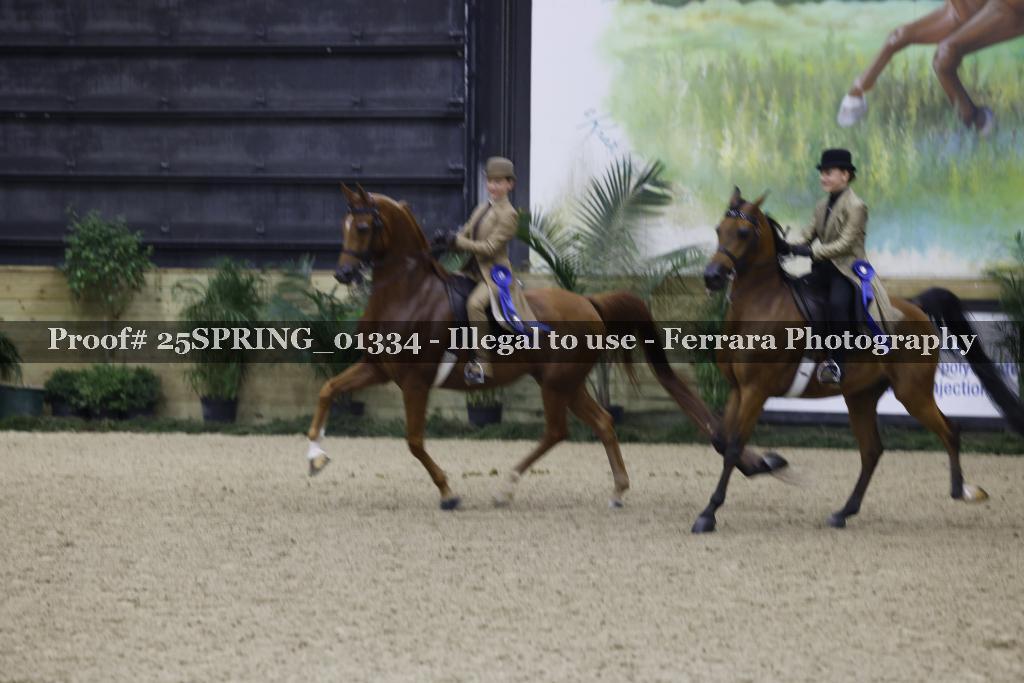 Proof 25SPRING_01334