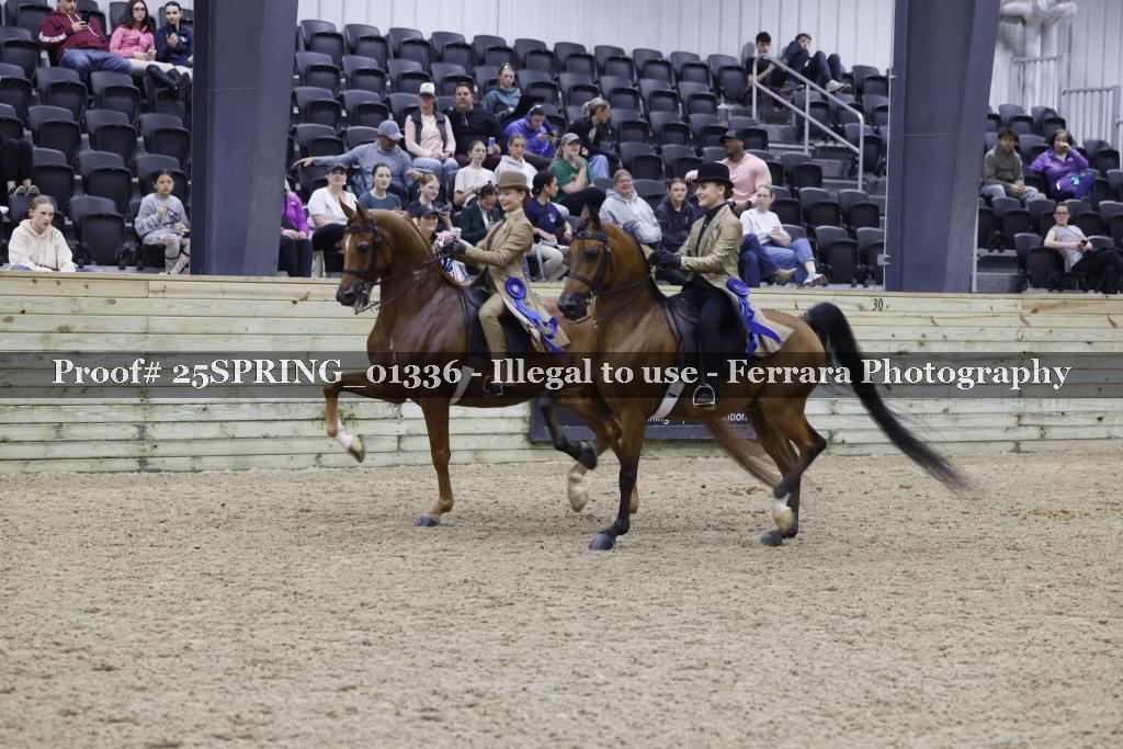 Proof 25SPRING_01336