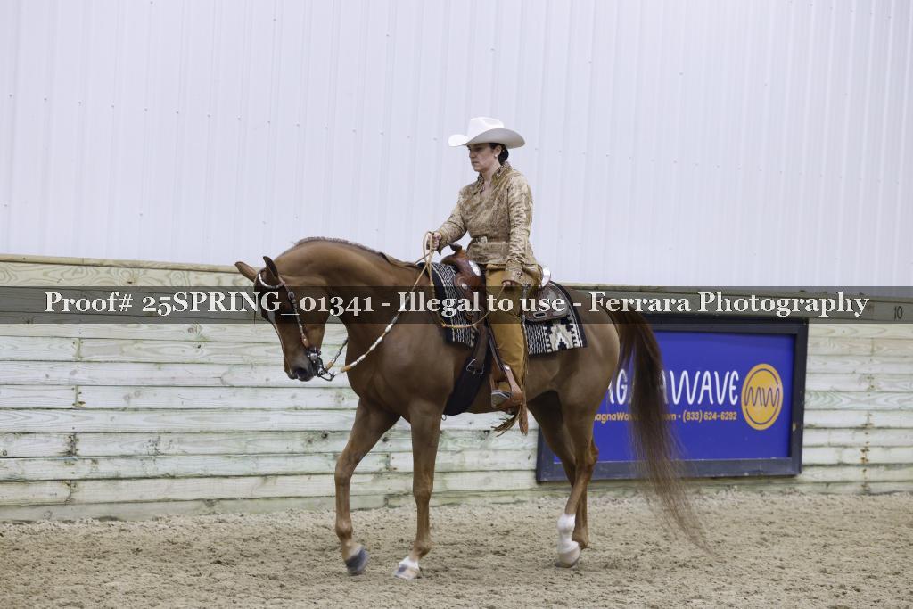 Proof 25SPRING_01341