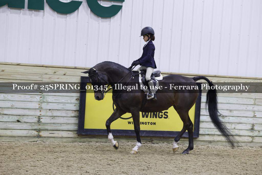 Proof 25SPRING_01345