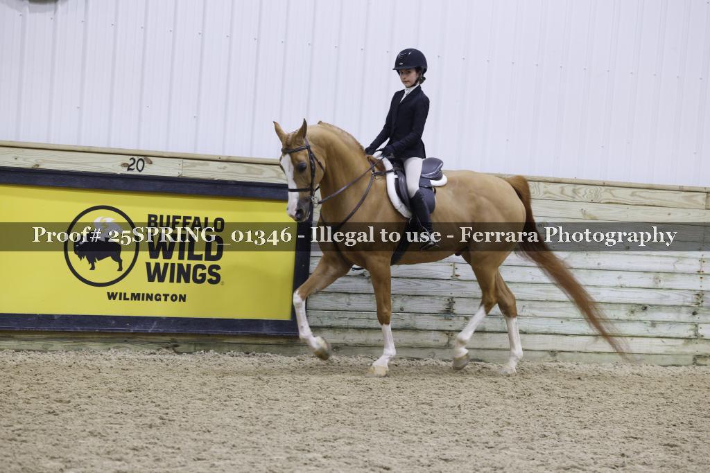Proof 25SPRING_01346