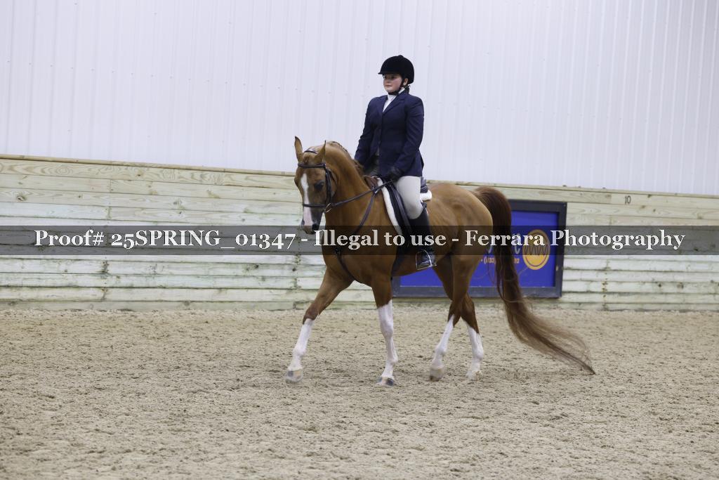 Proof 25SPRING_01347