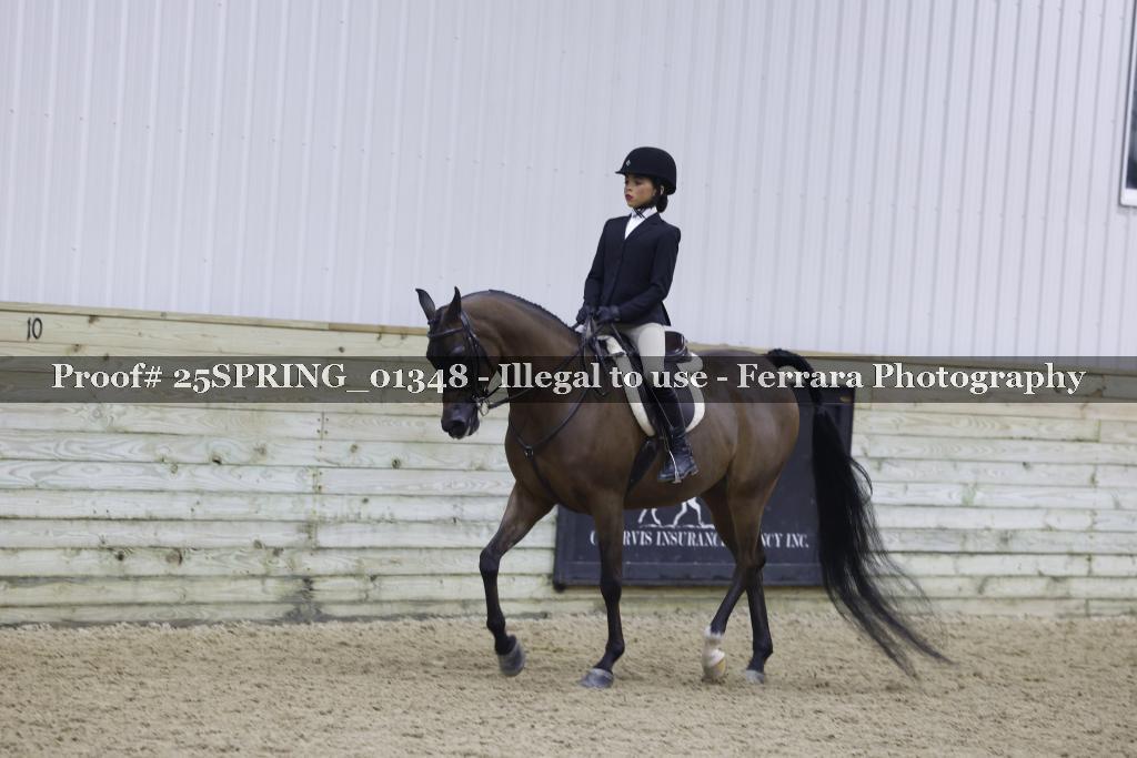Proof 25SPRING_01348