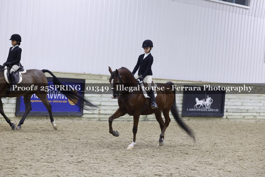 Proof 25SPRING_01349
