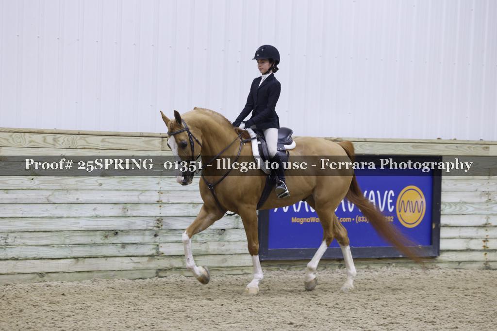 Proof 25SPRING_01351