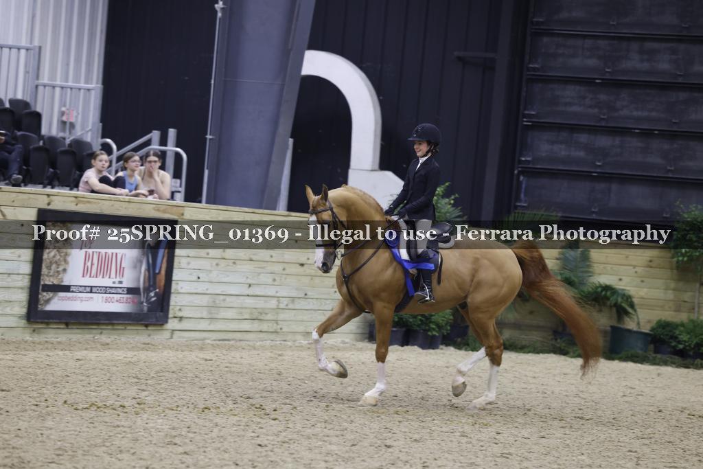 Proof 25SPRING_01369