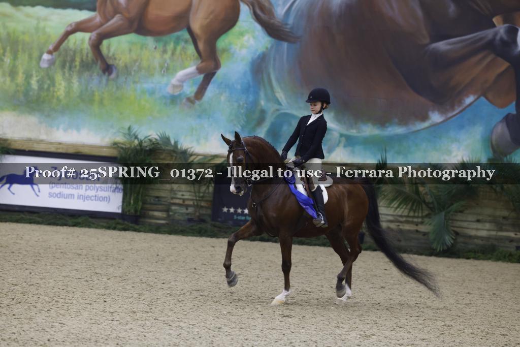 Proof 25SPRING_01372