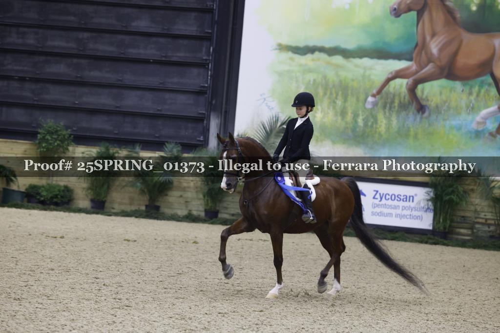 Proof 25SPRING_01373