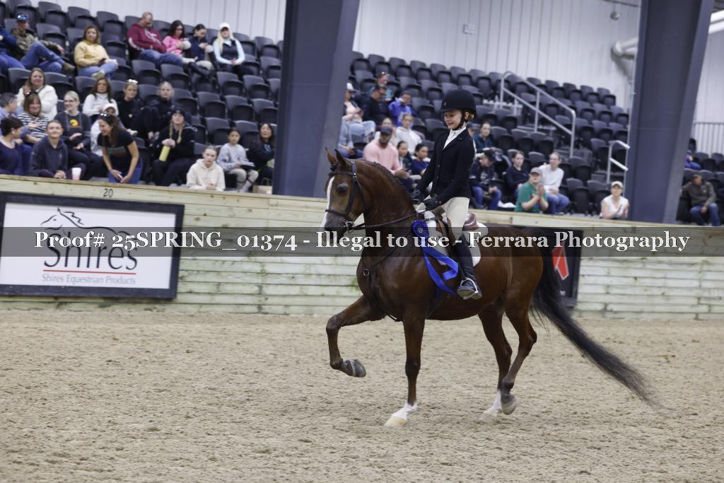 Proof 25SPRING_01374