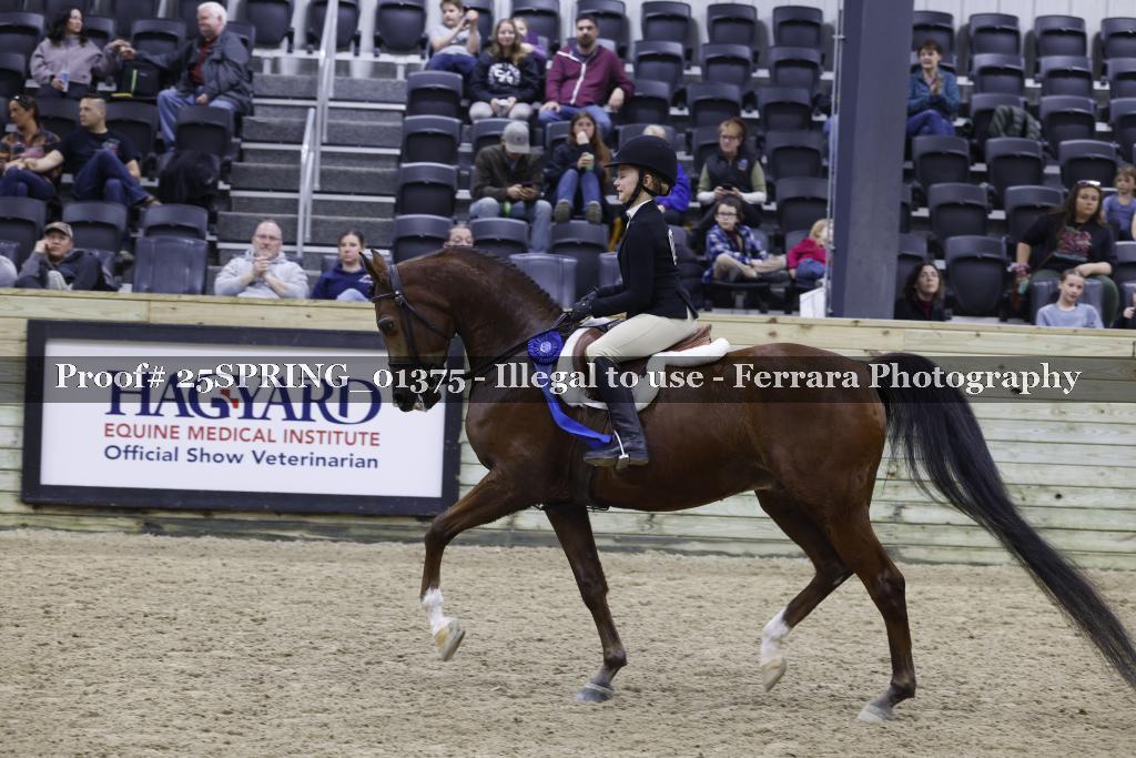 Proof 25SPRING_01375